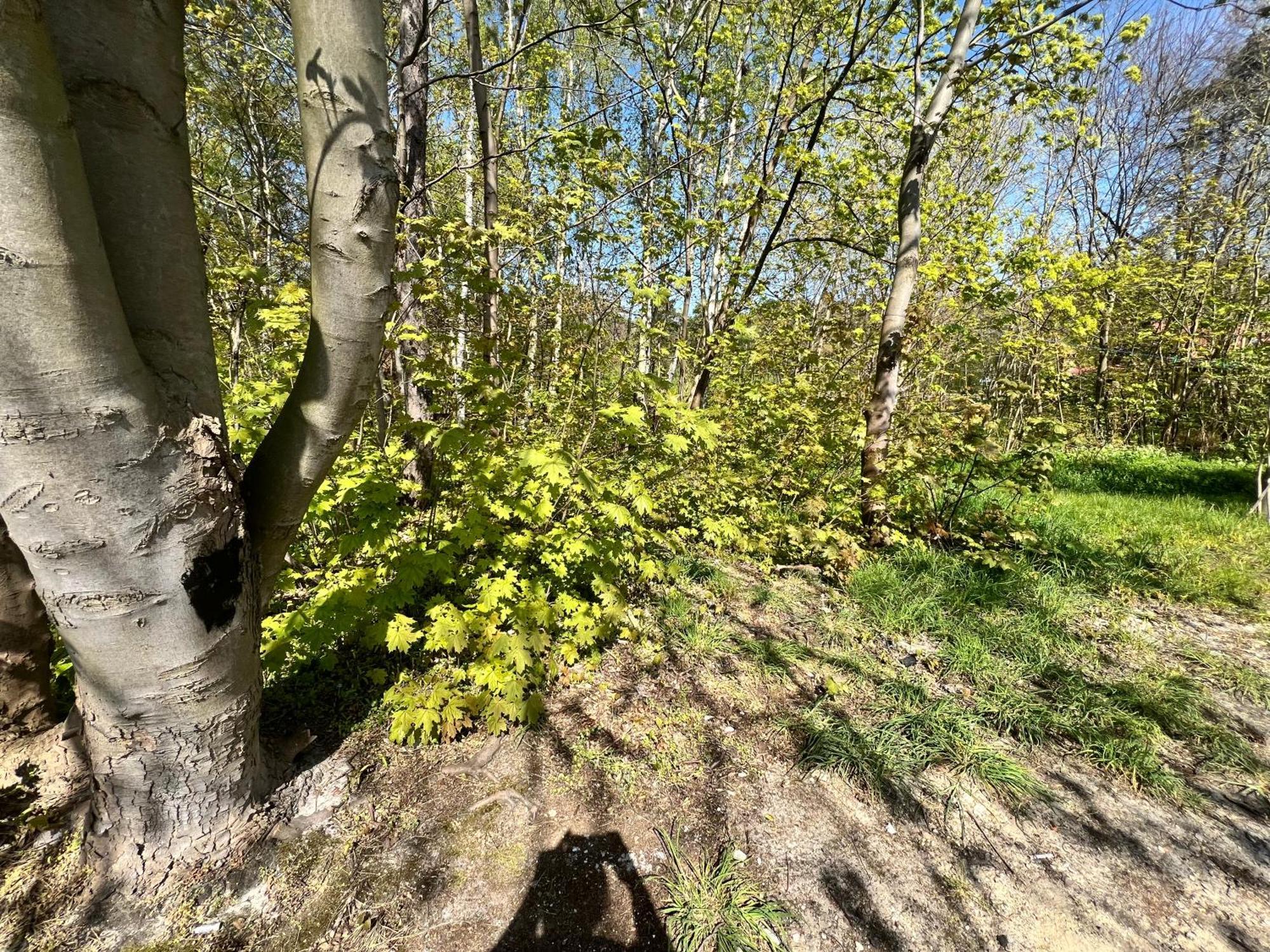 Na Spokojnie Jastarnia Bagian luar foto